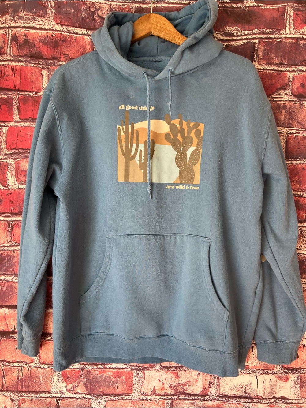 Obsessive Love Wild & Free Desert Cactus Graphic Hoodie